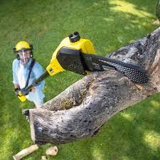 Best Tree Preservation Services  in Pinson, AL